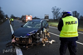 Tragiczny wypadek na drodze nr 7