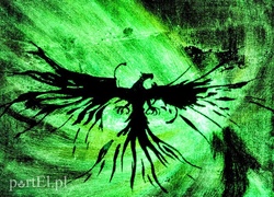 Obrazy, które rozświetlają mrok