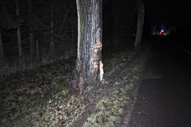 Wypadł z drogi i otarł się o dwa drzewa