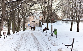 Pierwszy atak zimy