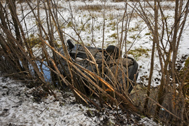 Dachowanie na ul. Mazurskiej