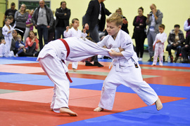 Walczyły nadzieje judo