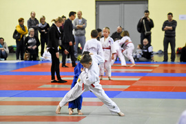 Walczyły nadzieje judo