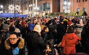 Jej wysokość choinka