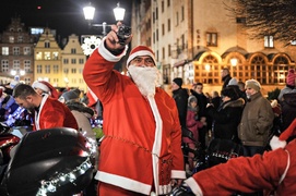 Jej wysokość choinka
