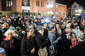 Jej wysokość choinka