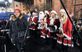 Jej wysokość choinka