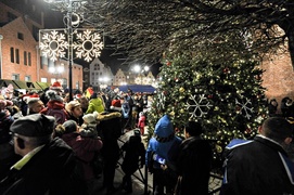 Jej wysokość choinka