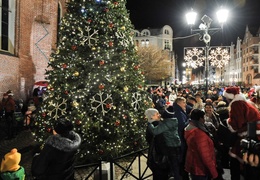 Jej wysokość choinka