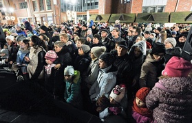 Jej wysokość choinka