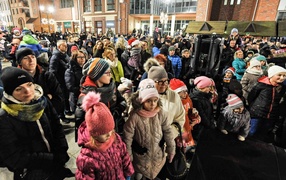 Jej wysokość choinka