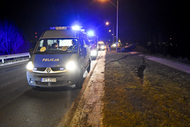 Wypadł z drogi i dachował