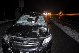 Trasa S22: Toyota i seat uderzyły w łosia