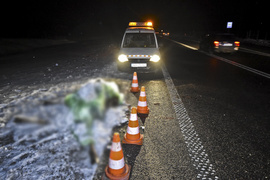 Trasa S22: Toyota i seat uderzyły w łosia