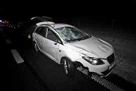 Trasa S22: Toyota i seat uderzyły w łosia