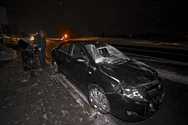 Trasa S22: Toyota i seat uderzyły w łosia