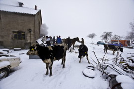 Pożar w Nowakowie