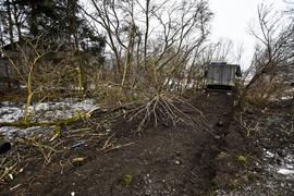 Wypadek w Kazimierzowie, kierowca ciężarówki nie żyje