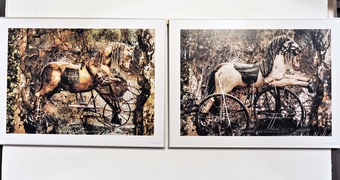 Fotografie jak z baroku