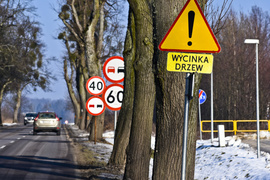 Wycinka na Fromborskiej, tu będzie ścieżka