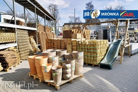 Idzie wiosna Idzie wiosna