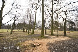 Wielkie cięcie na Zawadzie (wracamy do tematu)