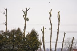 Wielkie cięcie na Zawadzie (wracamy do tematu)