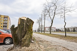 Wielkie cięcie na Zawadzie (wracamy do tematu)