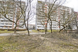 Wielkie cięcie na Zawadzie (wracamy do tematu)