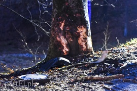 Kierowca golfa zginął na drodze do Tolkmicka