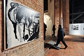 Lanie wody w Galerii EL