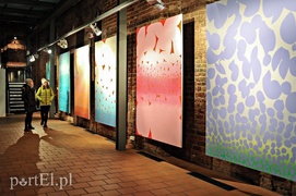 Lanie wody w Galerii EL