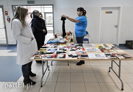 Z miłości do kotów