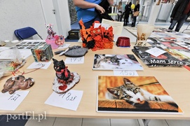 Z miłości do kotów