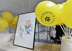 Z miłości do kotów