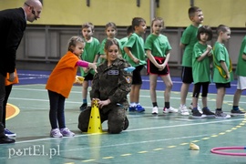 Jabłka rywalizowały z mandarynkami