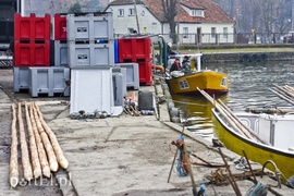 Na Zalewie rozpoczęły się \"śledziowe żniwa\"