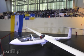 To był dobry rok w elbląskim sporcie