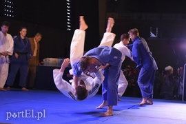 To był dobry rok w elbląskim sporcie