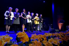 Światowid na dwie piątki