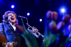 Oni najlepiej mówią o miłości