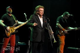 Oni najlepiej mówią o miłości