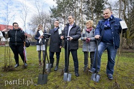 Jedni tną, inni sadzą