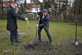 Jedni tną, inni sadzą