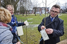 Jedni tną, inni sadzą