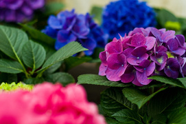 Wiosna w Twoim domu!