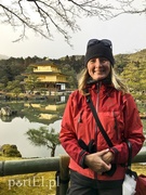 Kolejna podróż? To byłby plagiat