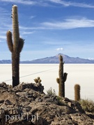 Kolejna podróż? To byłby plagiat