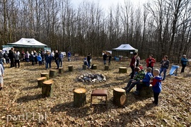 Zasadzili tysiąc nowych drzew