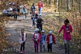 Zasadzili tysiąc nowych drzew